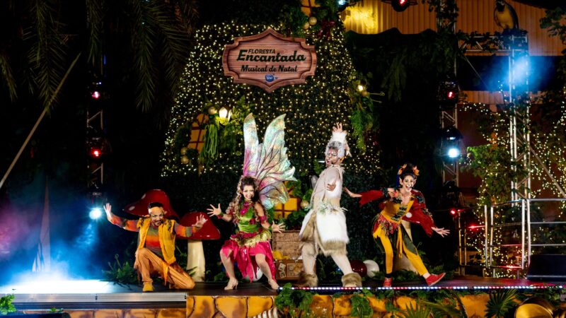 Decoração de Natal em Amparo traz musical natalino inédito