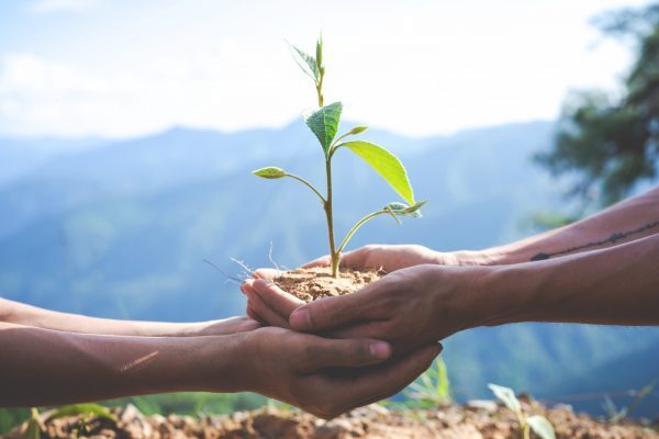 Sucessão é desafio para empresas agrícolas familiares