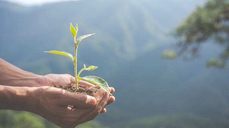 Empresas precisam estar atentas a particularidades dos processos de responsabilidade ambiental