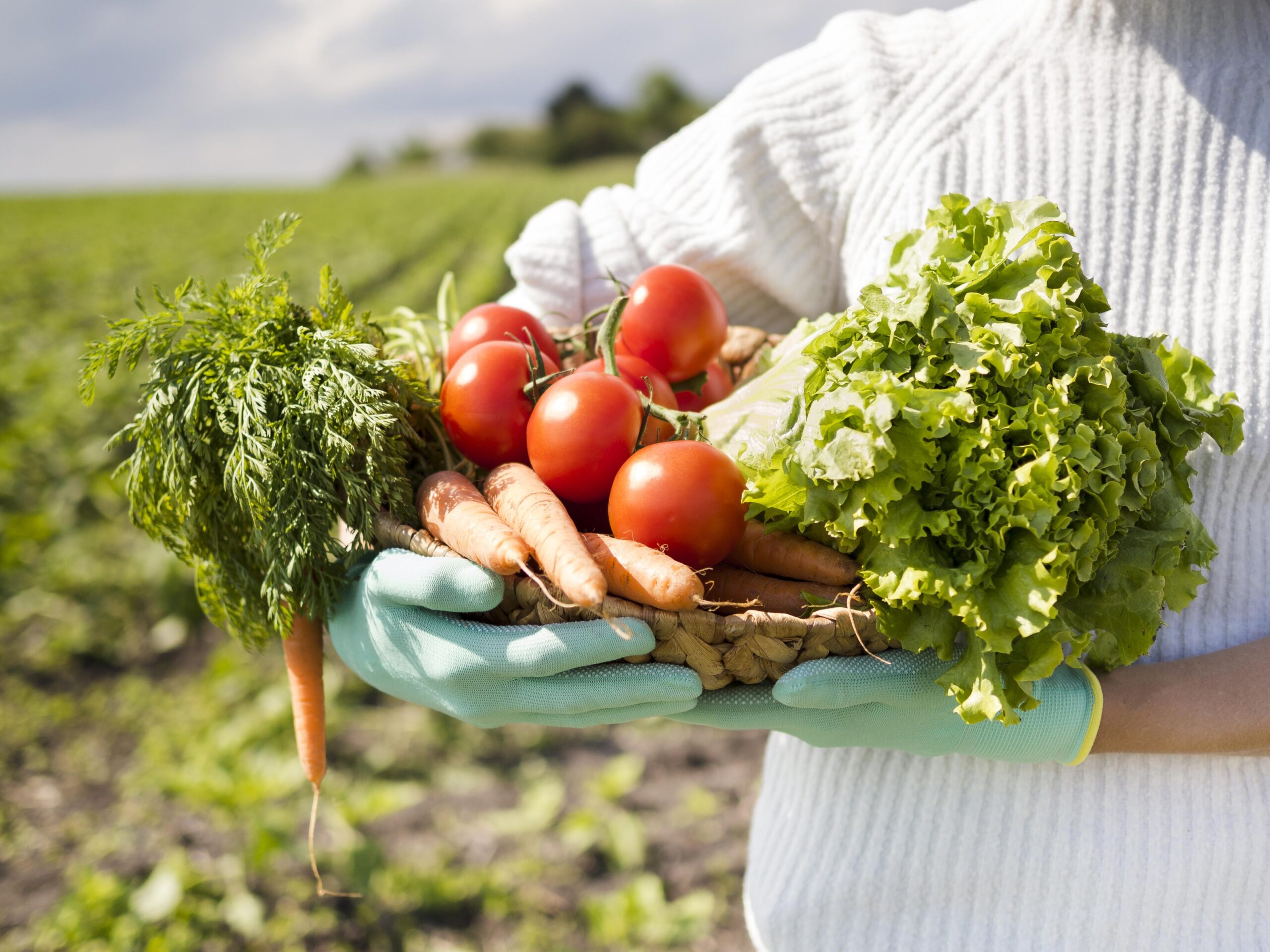 Potência Agrícola: se todos os agricultores familiares do Brasil formassem um país, este seria o oitavo maior produtor de alimentos do mundo