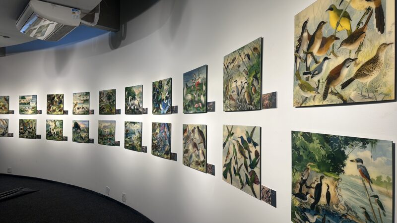 Exposição ‘O Legado Suíço Brasileiro na Amazônia’ estará no Museu Catavento em SP