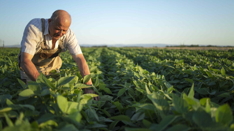 II Simpósio Internacional do agro traz novas perspectivas no combate ao câncer