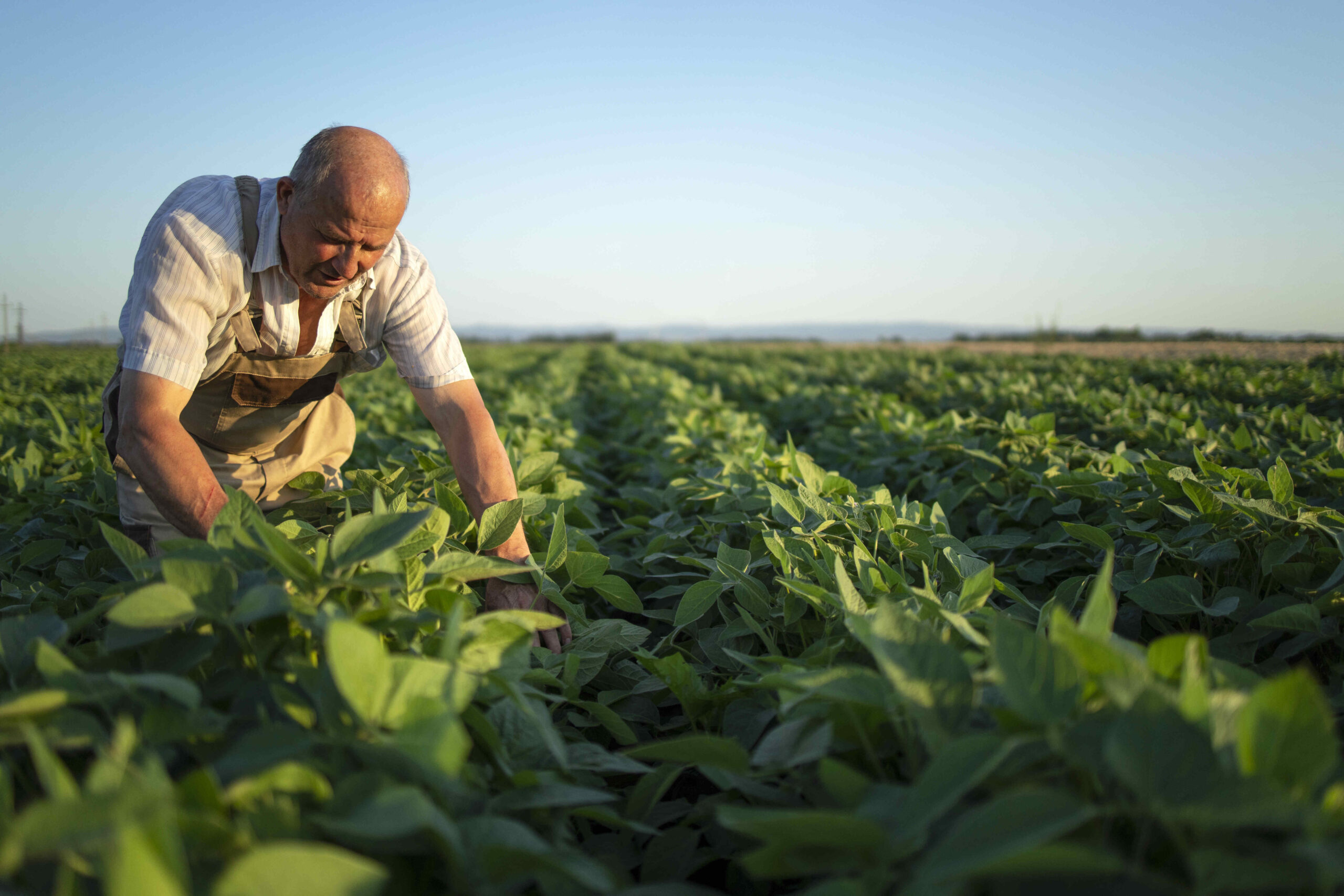 II Simpósio Internacional do agro traz novas perspectivas no combate ao câncer