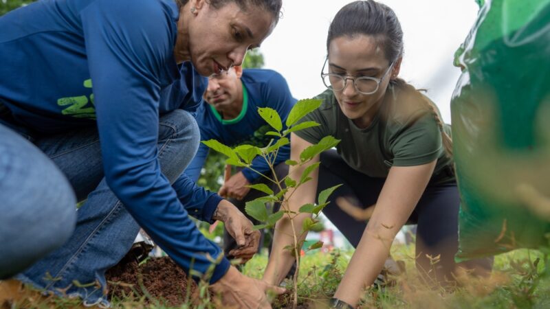 Nova Acrópole celebra o Dia da Terra com ações voluntárias