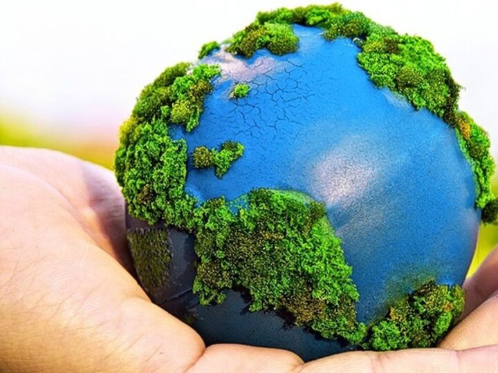 Dia Mundial da Reciclagem será comemorado em 17 de maio