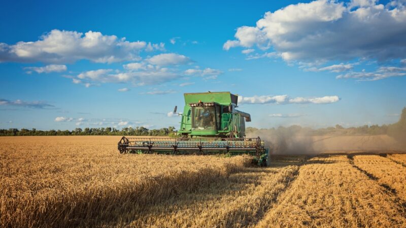 Puxado pelo agronegócio, PIB de Mato Grosso cresce 1.116,2%