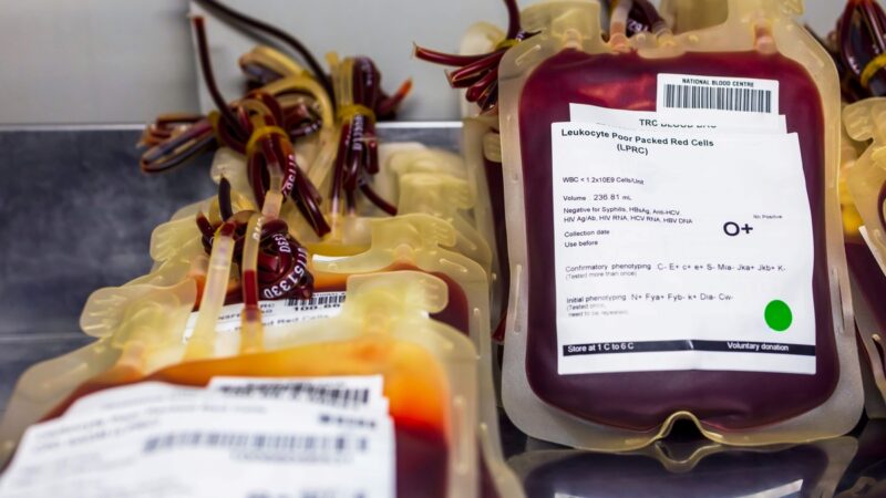 Brasil descarta doações de sangue por falhas de conservação e contaminação