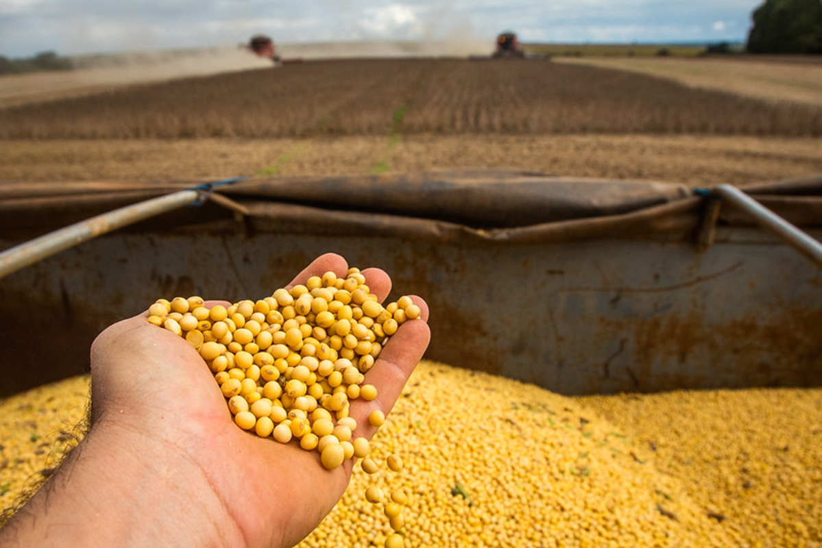 Recuperação judicial no agro segue em alta