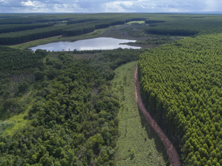 Valmet fornecerá fábrica de celulose completa com soluções de automação e válvulas para Arauco no Brasil