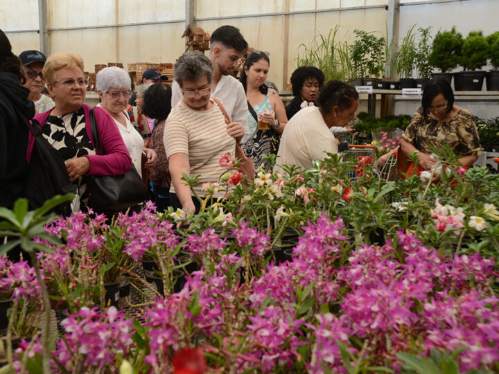 Festa de Flores e Morangos atrai 80 mil visitantes