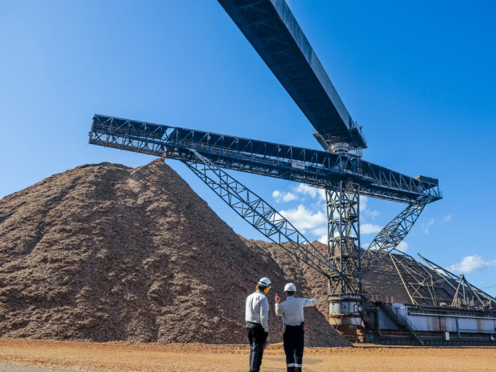 Valmet participa da 5.ª edição da Lignum Latin America com novidades para a cadeia produtiva da madeira