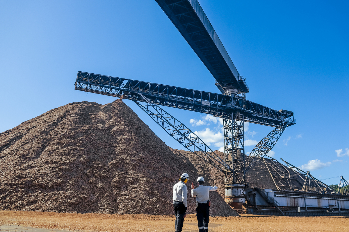 Valmet participa da 5.ª edição da Lignum Latin America com novidades para a cadeia produtiva da madeira