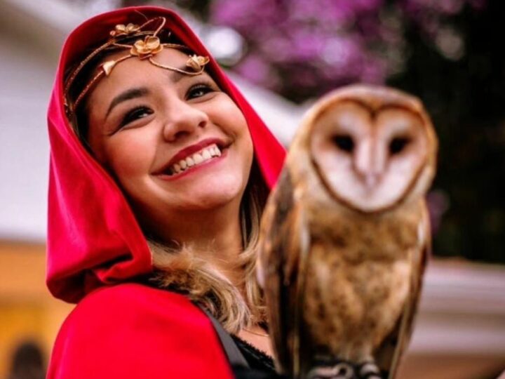 Jornada de Cultura e Magia: Curitiba recebe o II Festival Místico dos Druidas em novembro