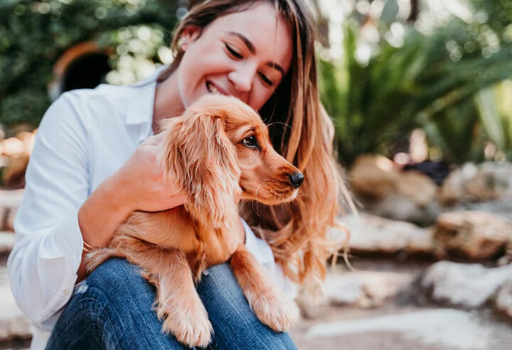 Cuidar do bem-estar dos pets é responsabilidade legal dos tutores