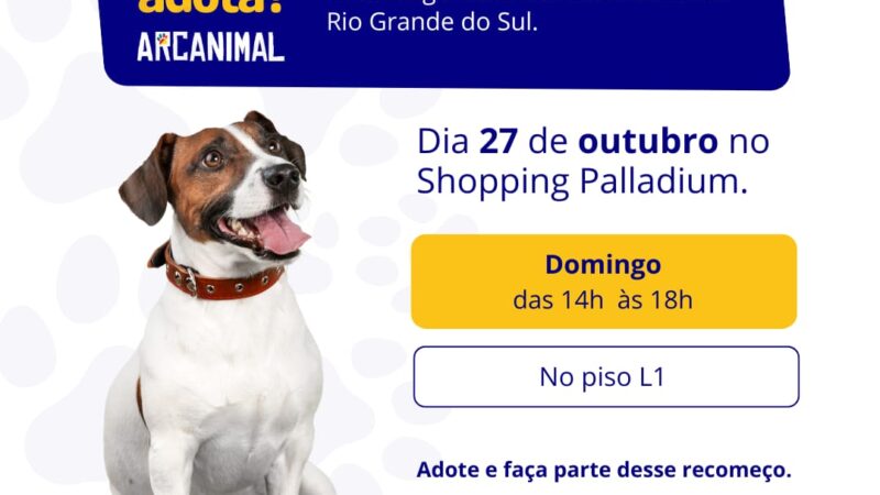 Curitiba recebe evento de adoção de animais sobreviventes das enchentes do Rio Grande do Sul