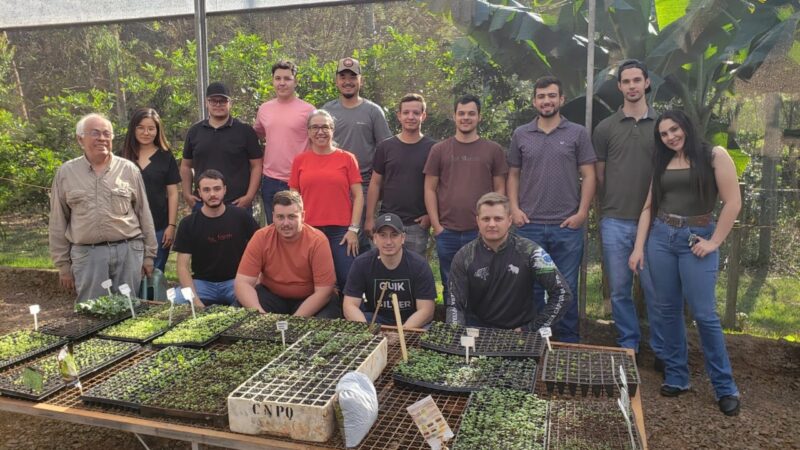 Hortaliças cultivadas por alunos de universidade beneficiam comunidades carentes