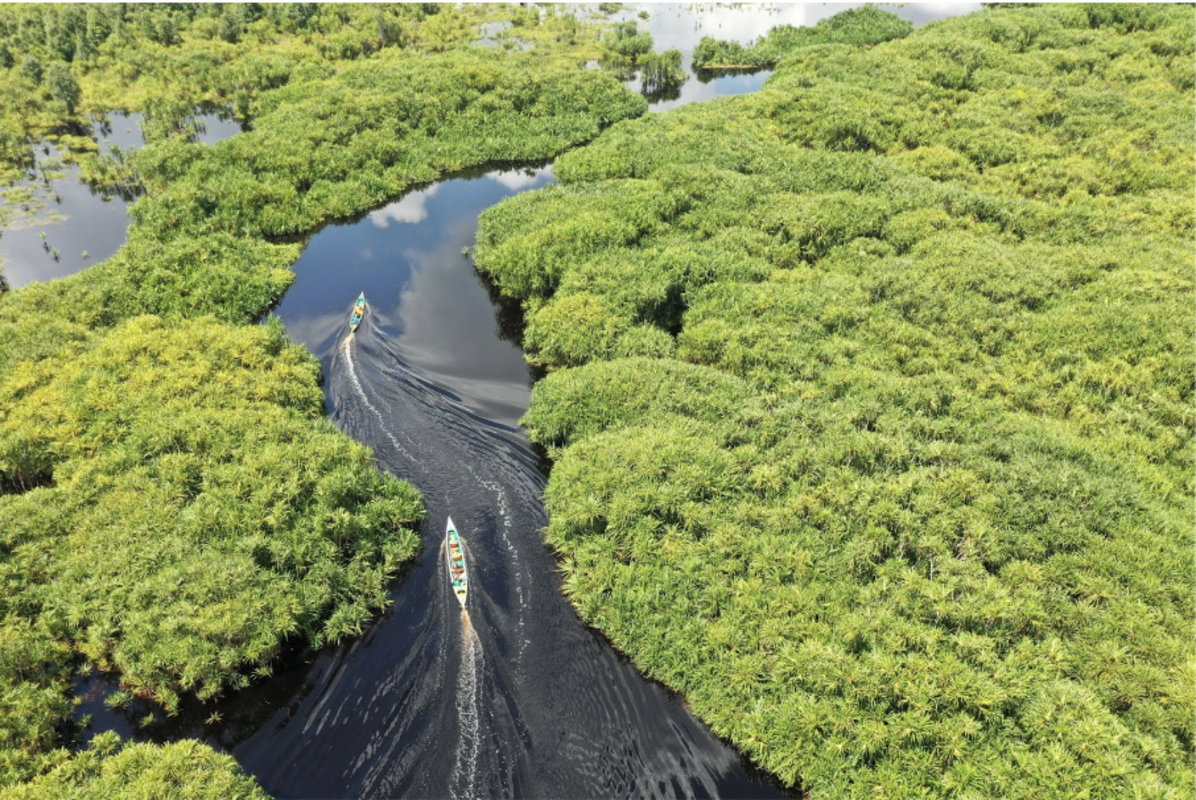 Belterra, na Amazônia, quer ser a “Machu Picchu brasileira”