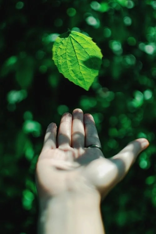 Impacto da agenda ESG vai além da imagem da empresa