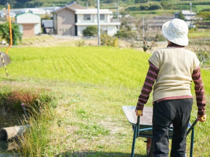 Selo Biocombustível Social impulsiona mulheres rurais