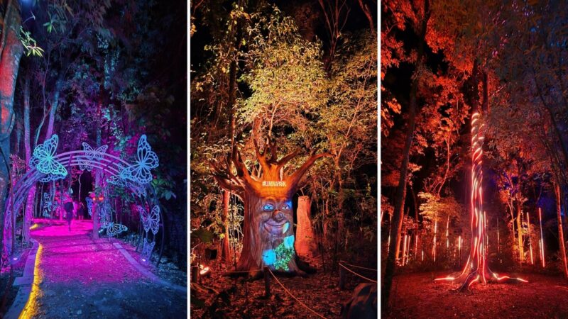 Wonder Park Foz inaugura nova atração “Lumina”