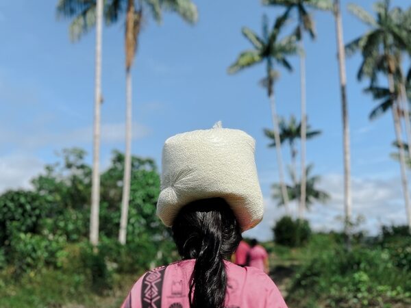 Mulheres lideram soluções climáticas locais no Brasil