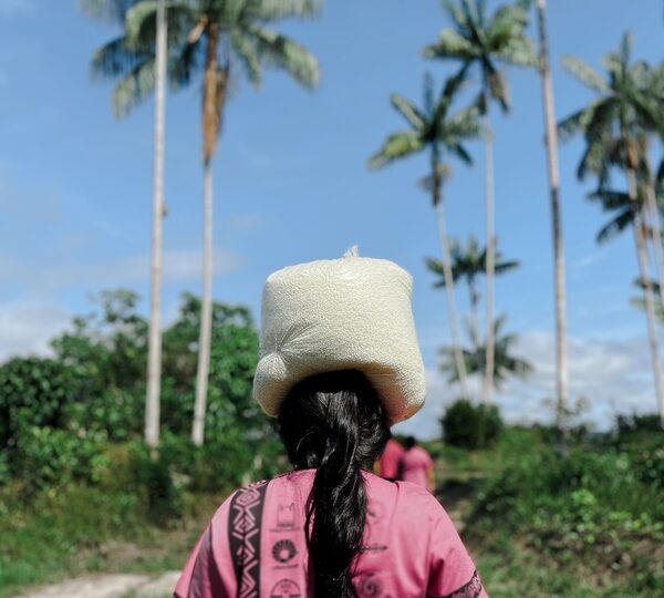 Mulheres lideram soluções climáticas locais no Brasil