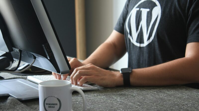 MCO2 reforça a segurança do WordPress, usado por 43% da web