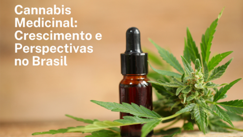 Cannabis medicinal demonstra crescimento otimista no Brasil