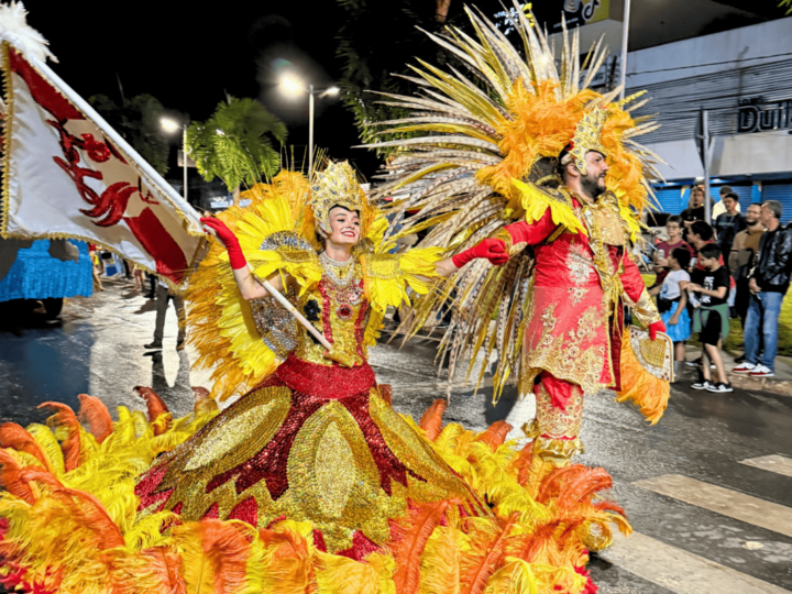 Escola de samba sobe a avenida com enredo sobre preservação ambiental