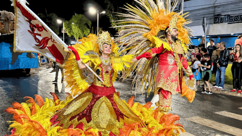 Escola de samba sobe a avenida com enredo sobre preservação ambiental