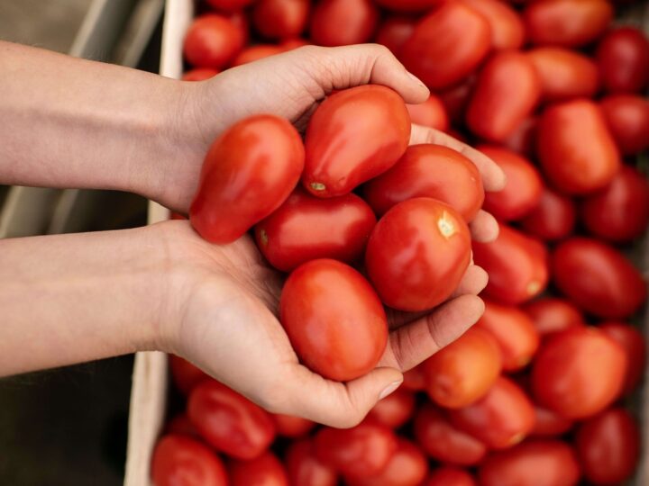 Fugini explica tecnologia do molho de tomate sem conservante