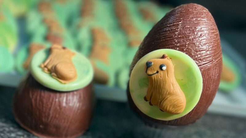 Ovos de Páscoa de Capivara, de Pinhão e de Pão de Mel são algumas das novidades na D’Fuhrmann Chocolates