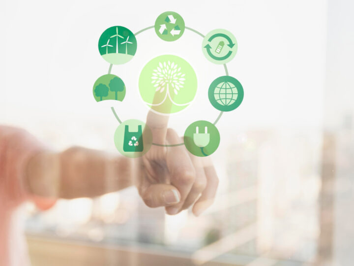 Seguro ambiental ajuda empresa a lidar com riscos ecológicos