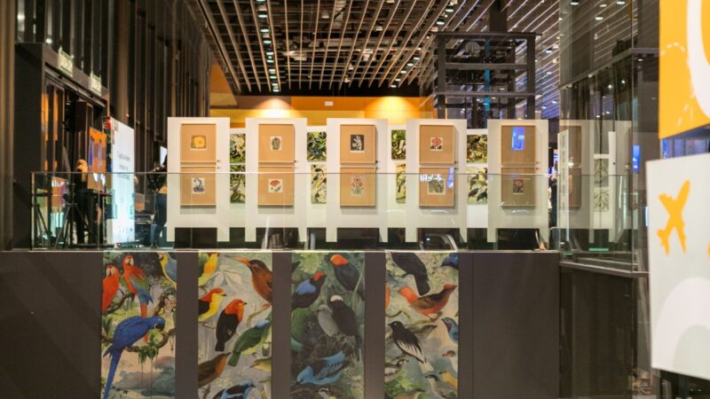 Exposição O Legado Suíço Brasileiro na Amazônia estará em cartaz em Natal – RN