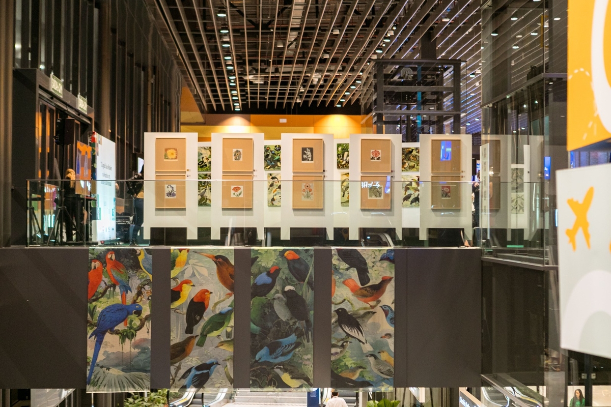 Exposição O Legado Suíço Brasileiro na Amazônia estará em cartaz em Natal – RN