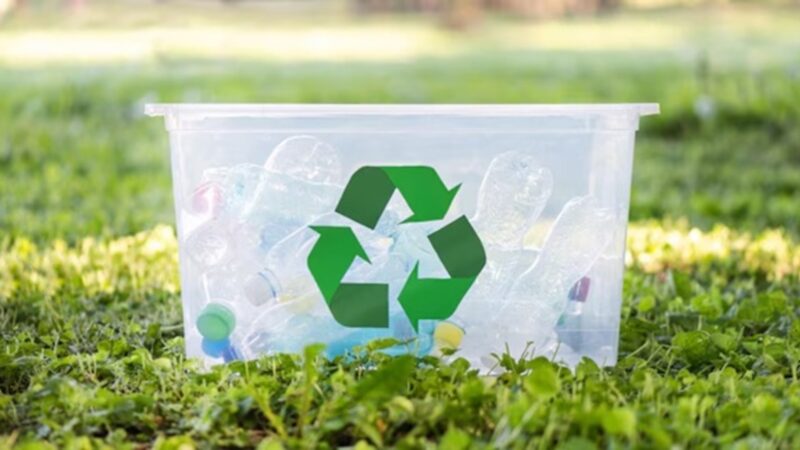 Dia Mundial da Reciclagem incentiva a destinação adequada dos resíduos sólidos