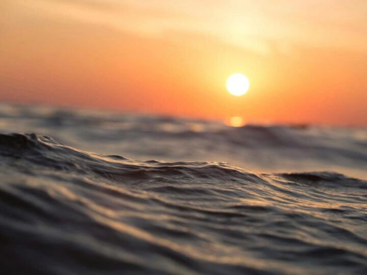 Dia Mundial dos Oceanos alerta sobre a importância desta fonte de biodiversidade