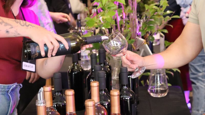 Feira de Vinhos Madalosso chega à segunda edição com mais de 300 rótulos para degustação
