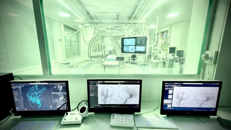 Hospital INC sedia workshop inédito para mulheres na neurorradiologia intervencionista
