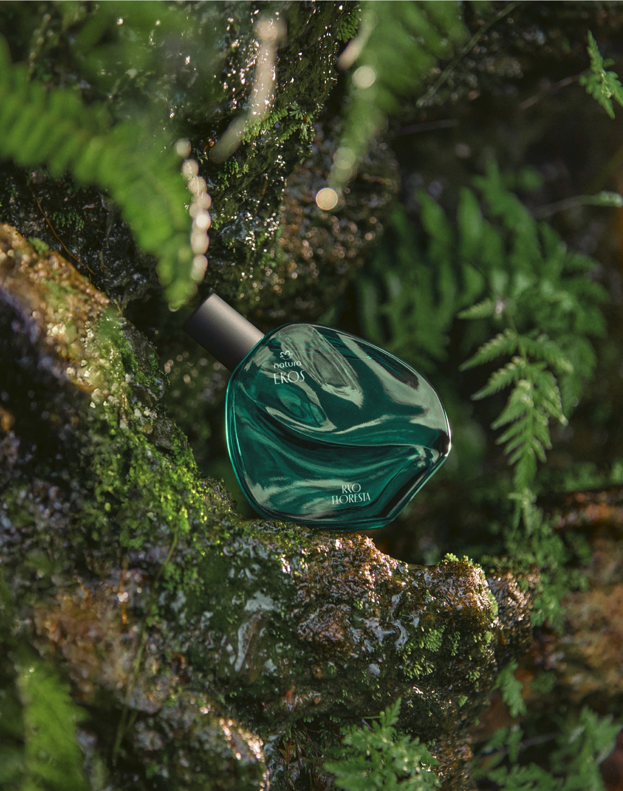 Natura lança “Ekos Ryo Floresta” para celebrar seus 25 Anos de atuação na Amazônia