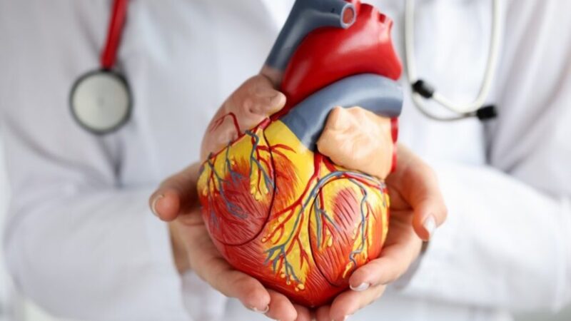 Doenças cardiovasculares lideram mortes no Brasil