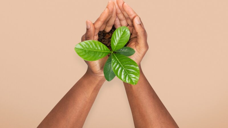 UniCuritiba sedia Fórum de Sustentabilidade LIDE Paraná