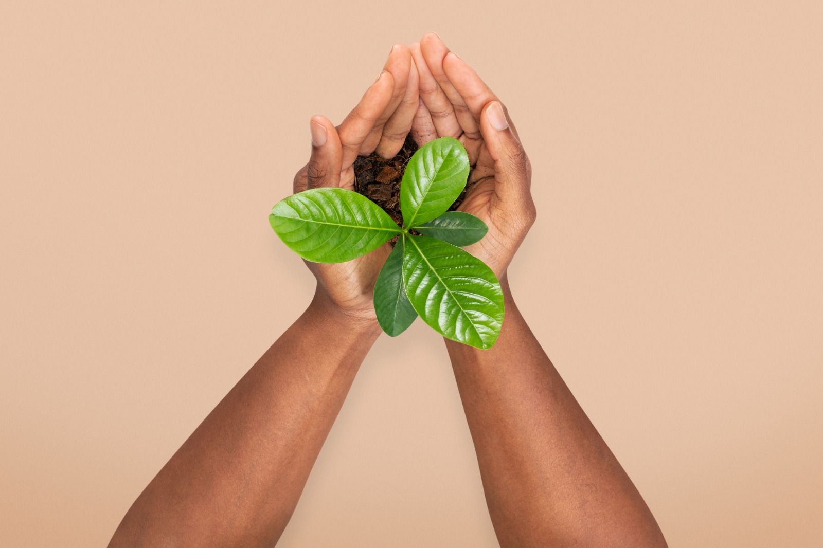 UniCuritiba sedia Fórum de Sustentabilidade LIDE Paraná