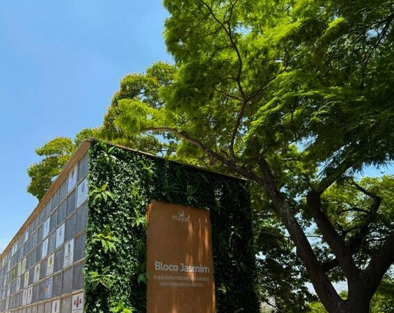 Grupo Maya promove acolhimento no Dia de Finados