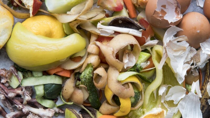 Pacto une setores para combater desperdício de alimentos