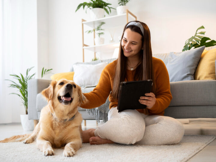 PetCerto: plataforma compara preços de produtos para pets