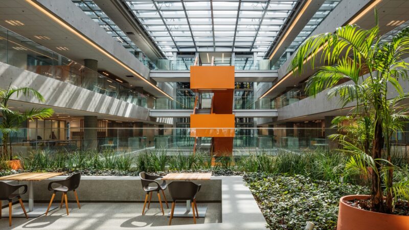 Natura anuncia parceria na COP30