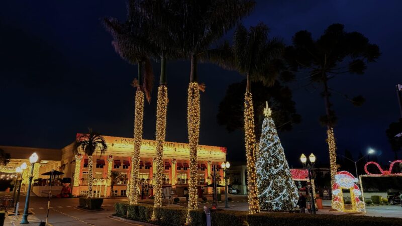 Família Madalosso celebra a chegada do Natal com decoração especial