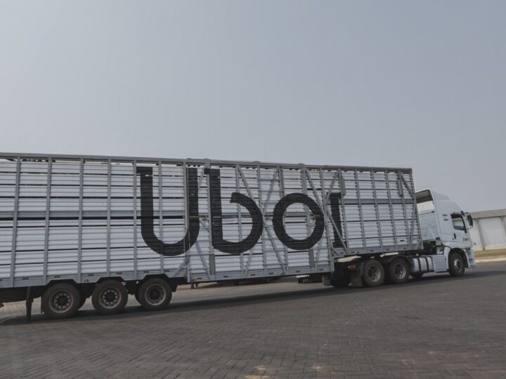 Uboi, da JBS, ultrapassa 5 milhões de cabeças de gado transportadas no Brasil