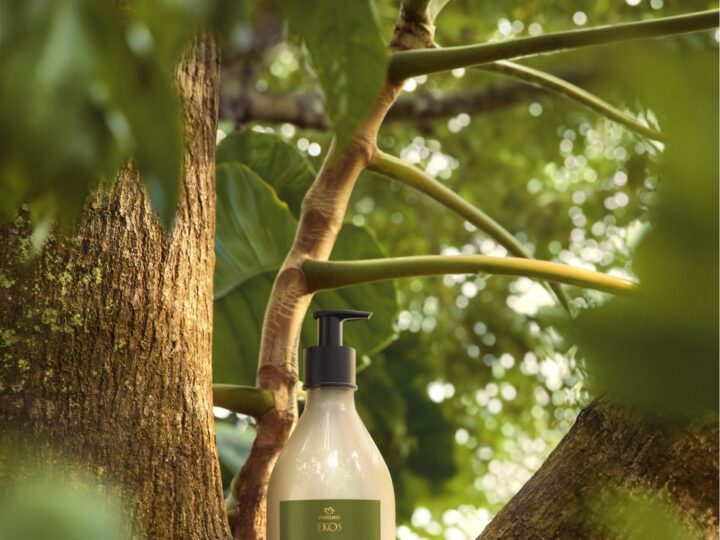 Novo Natura Ekos Andiroba traz um tratamento cosmético anti-cansaço potente